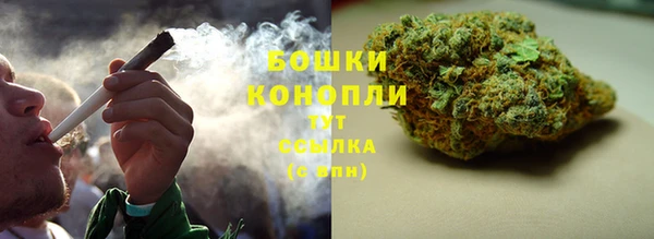 мет Арсеньев